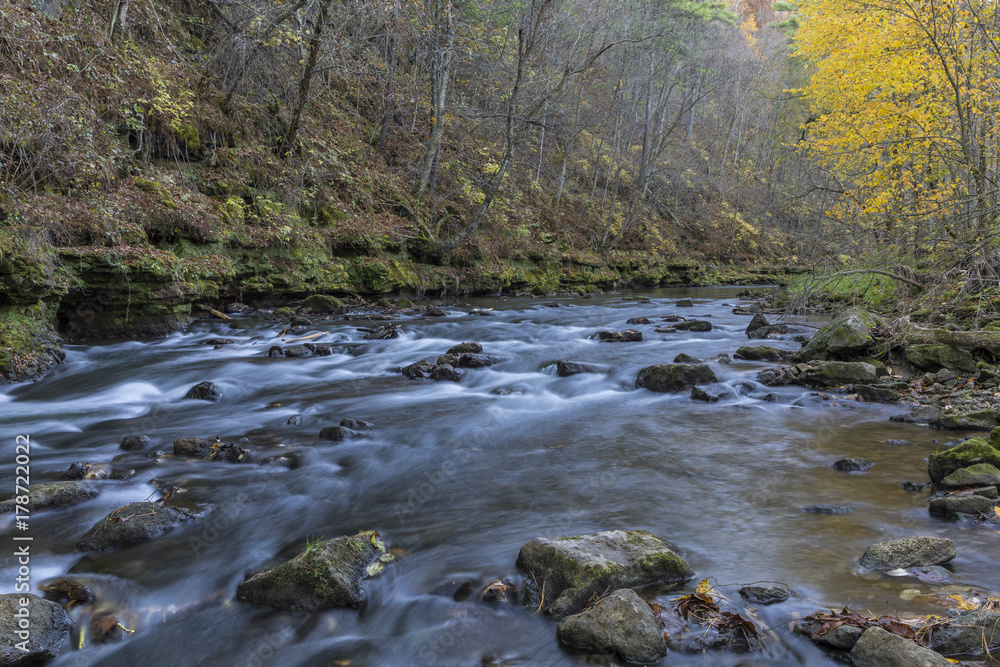 Whitewater River In Autumn - A scenic river in the woods.
