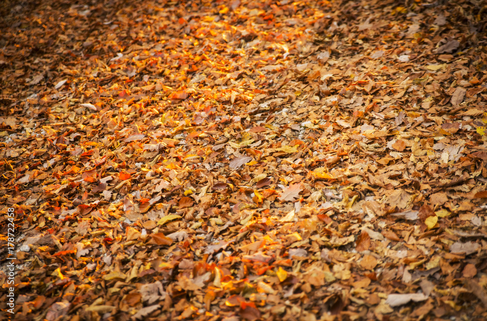 Autumn scene in Tuhinj valley in Slovenia Autumn scene in Tuhinj valley in Slovenia