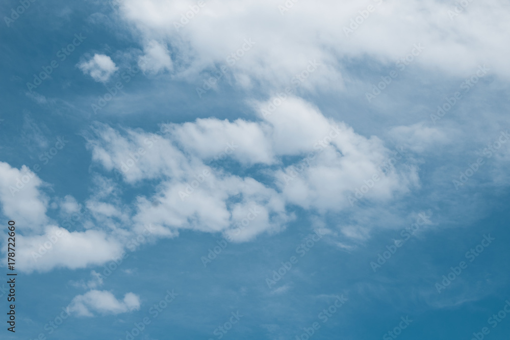 Naklejka premium NUVENS