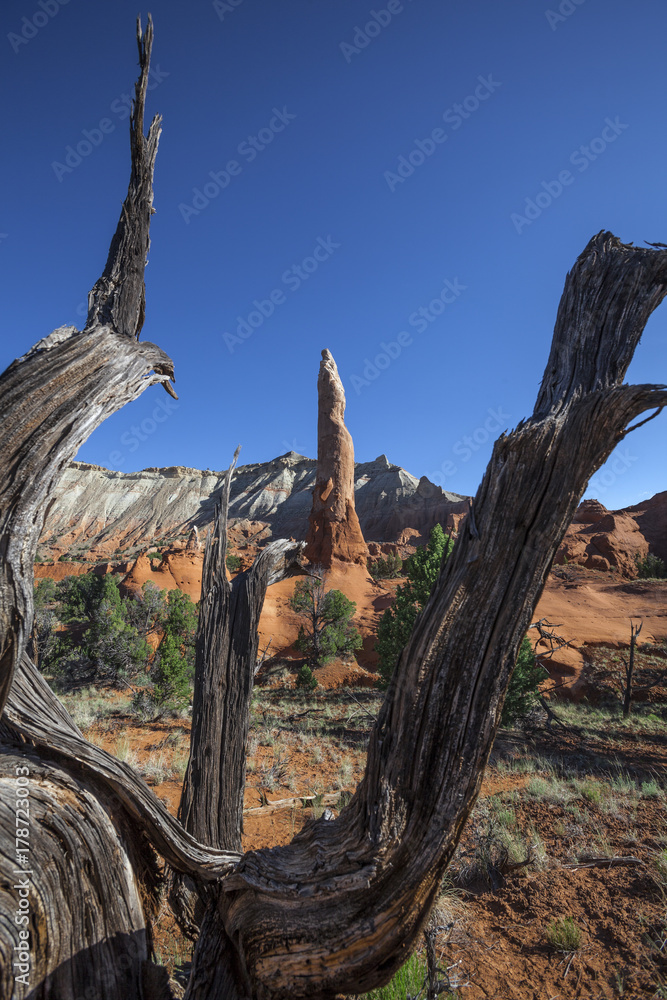 Felsformationen im Kadachrome State Park,Utah,USA