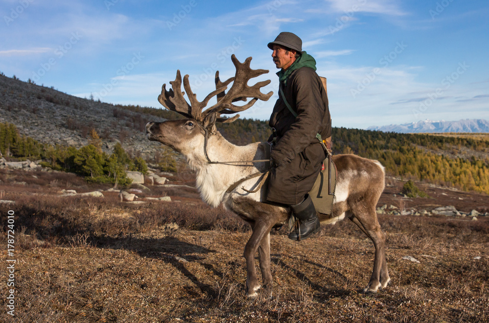 Man Riding A Elk Old Mongolian man riding a reindeer. Stock Photo | Adobe Stock