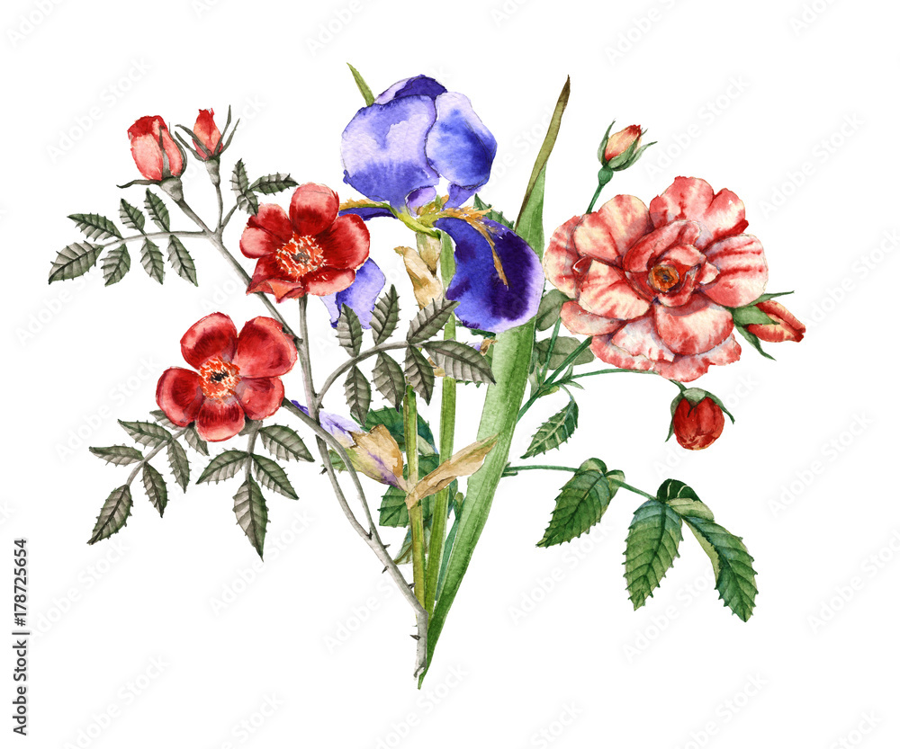 Obraz premium Bouquet of iris flowers and roses. Isolated on white background. 
