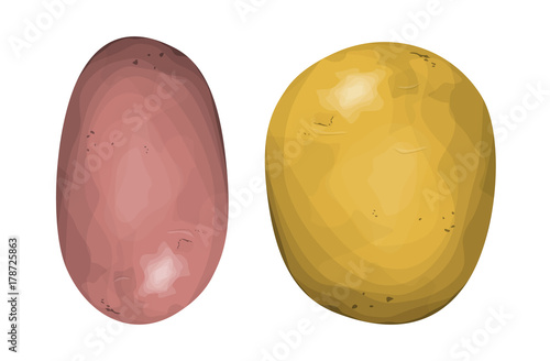 Isolated healthy potatoes