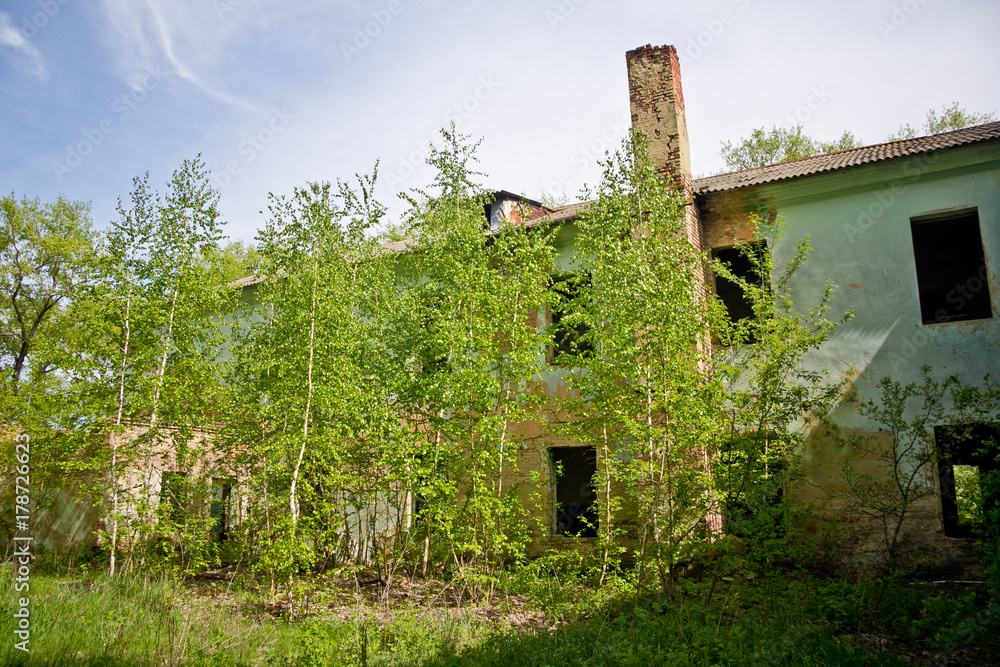 Overgrown ruined abandoned house Overgrown ruined abandoned house