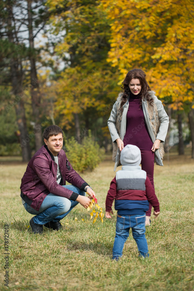 Fototapeta premium family walks in the autumn park