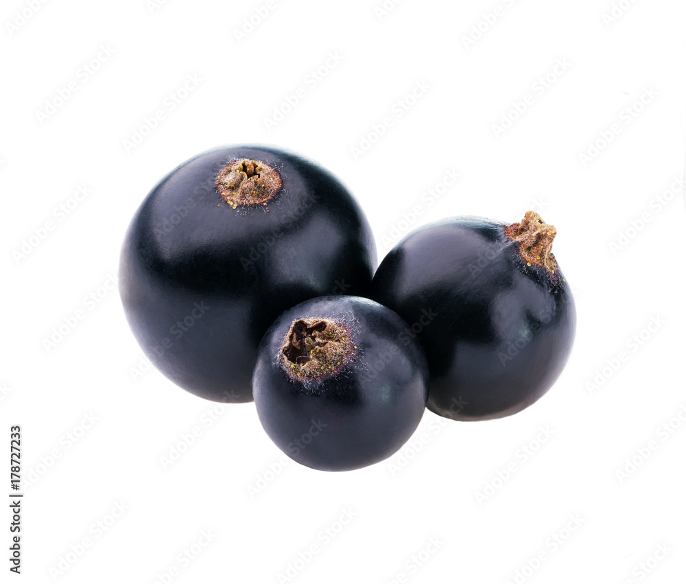 black currant berry isolated on white black currant berry isolated on white