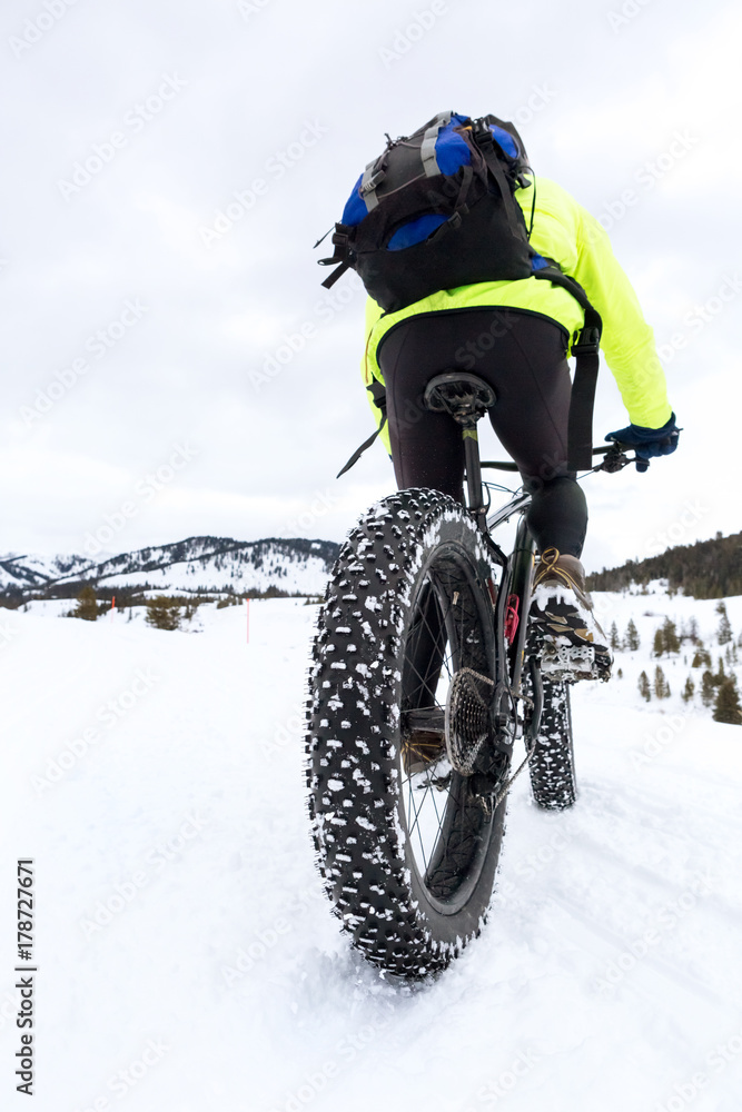 Obraz premium Fat tire mountain bicycle