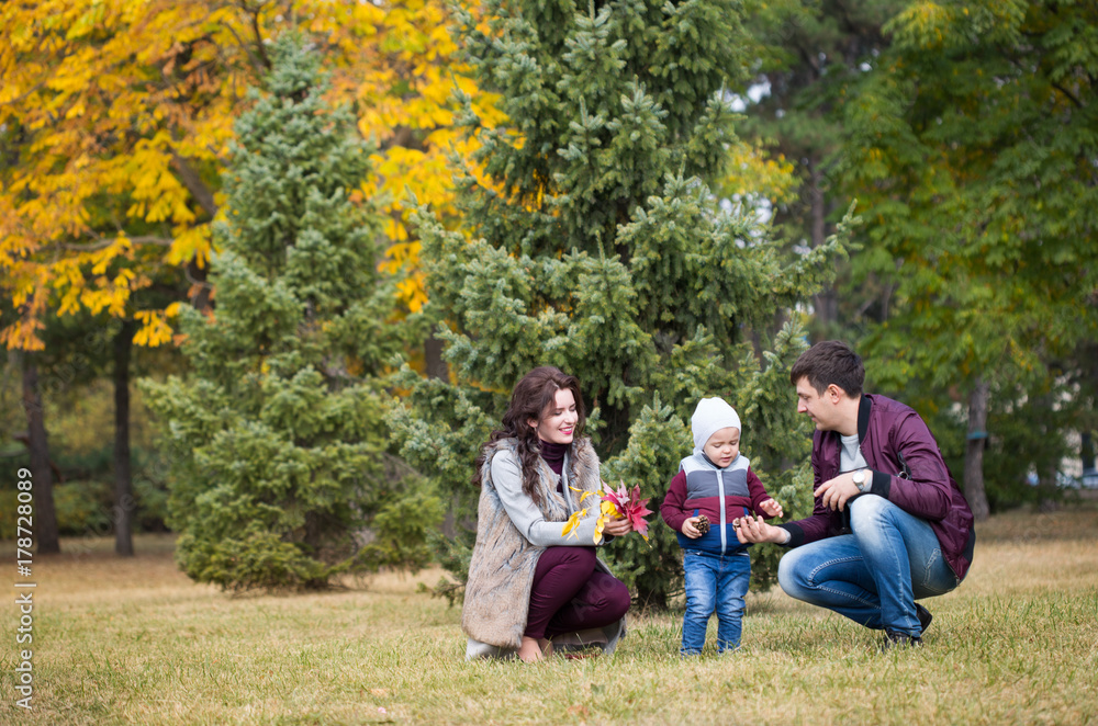 family walks, the autumn