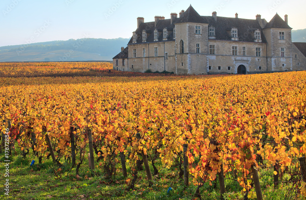 Vignes et château du clos de Vougeot