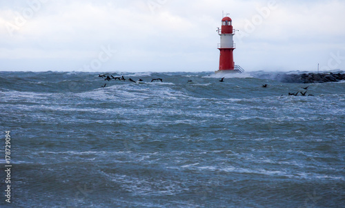 Cormorants fly by storm over the sea past a lighthouse