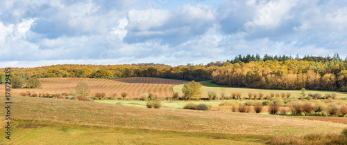 landscape with fields and wood in autumn