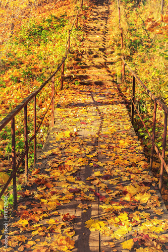 An old wooden bridge with metal rails and concrete steps strewn with autumn maple leaves in the sunlight