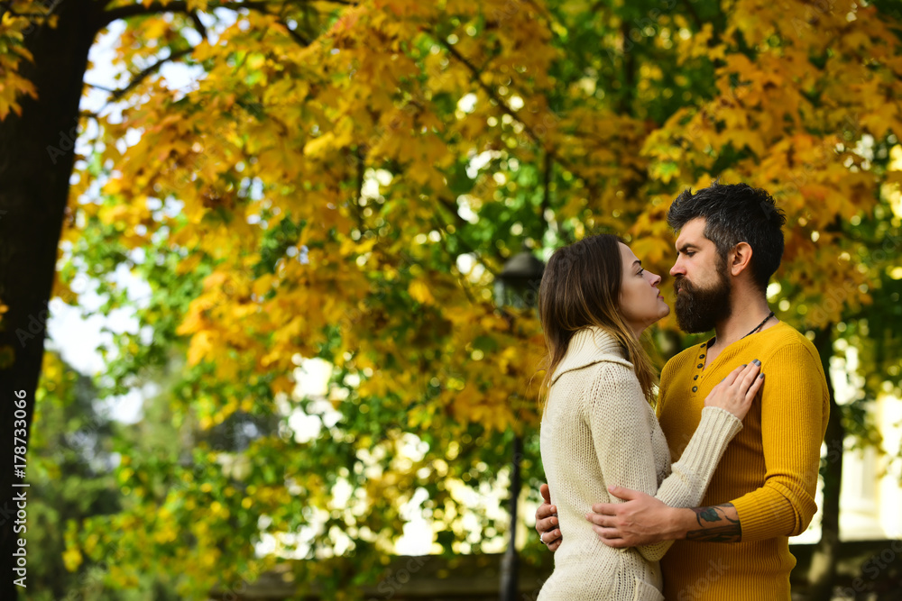Couple in love in autumn park. Couple in love in autumn park.