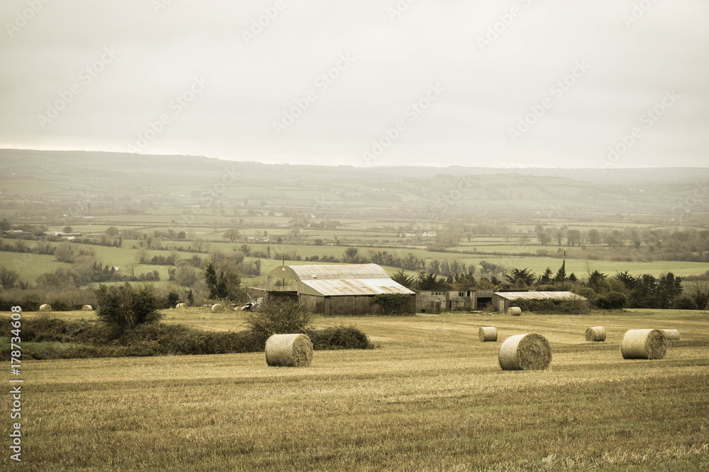 Fototapeta premium landscape