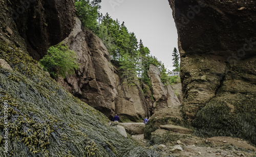 Large crevices in the cliffs at Hopewell Rocks caused by strong tidal surges eroding cliff walls, New Brunswick, Canada