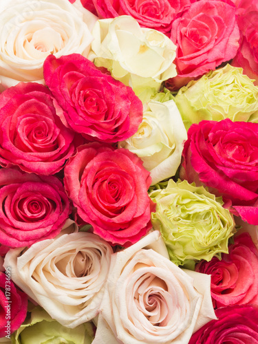 beautiful bouquet of bright roses