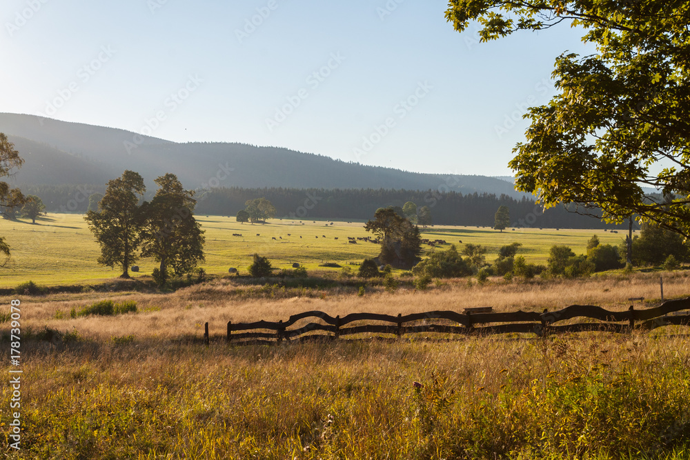 Fototapeta premium Mountain meadow in the soft light of the sun