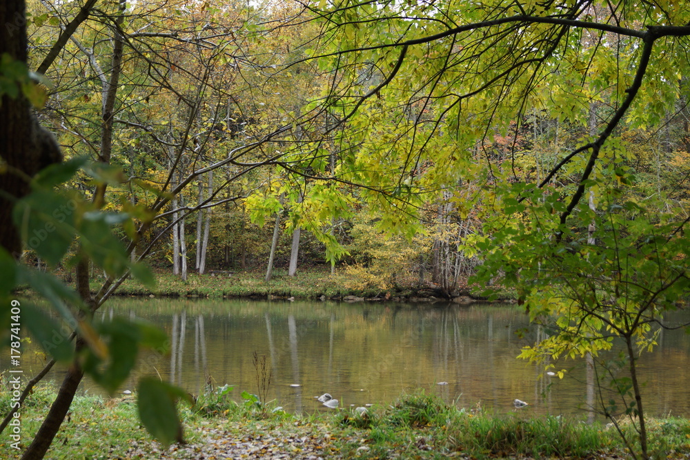 Fototapeta premium Good Fishing