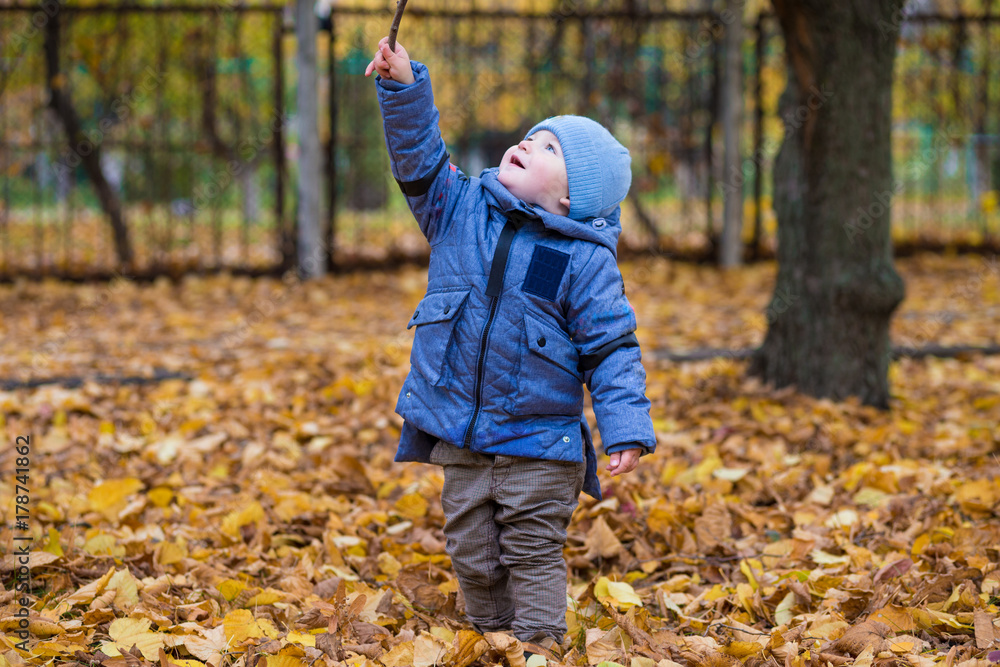 Little child boy 1 years old walks in the park on fallen colorful leaves in autumn day