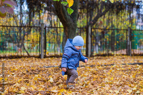 Little child boy 1 years old walks in the park on fallen colorful leaves in autumn day © Svetlana