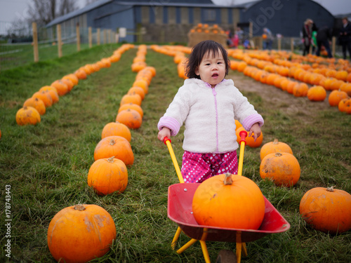 Baby girl pick pumpkin in the farm photo