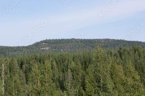 View from the west to the mountain Koli, Finland, summer