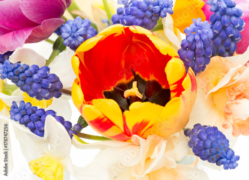 spring flower background