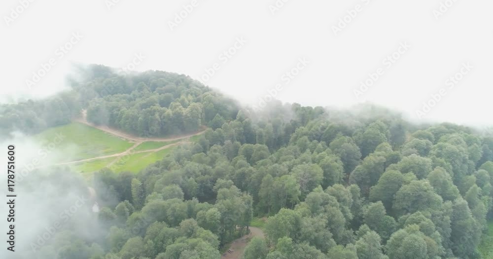 Fying over the high mountains covered with green forests in beautiful clouds. Aerial view of scenic landscape. Wilderness and beuty in nature concept Fying over the high mountains covered with green forests in beautiful clouds. Aerial view of scenic landscape. Wilderness and beuty in nature concept