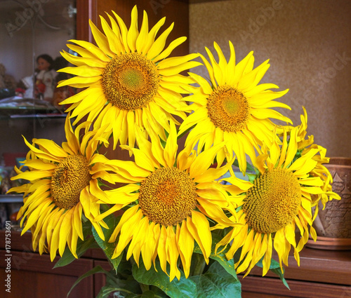 A bouquet of large sunflowers in a room with toys.