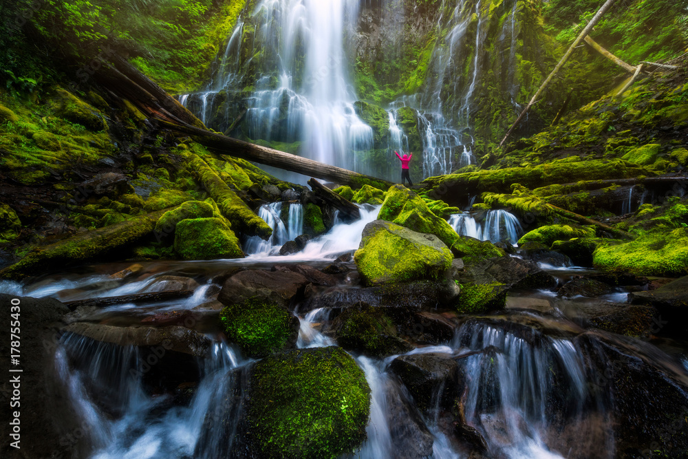 Fototapeta premium Proxy Falls, Oregon, USA, during summer