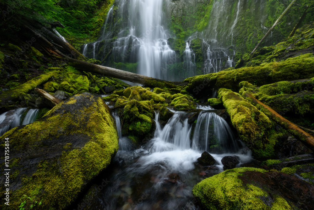 Fototapeta premium Proxy Falls, Oregon, USA, during summer