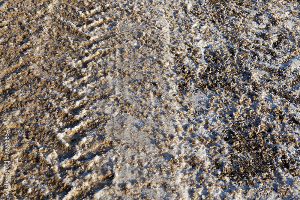 Traces on the snow Traces on the snow