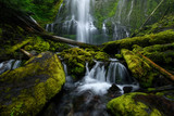 Proxy Falls, Oregon, USA, during summer