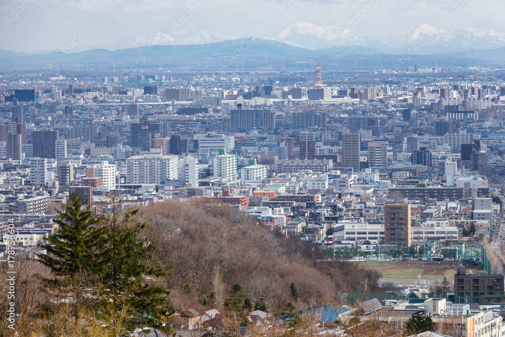 Fototapeta premium Sapporo Cityscape