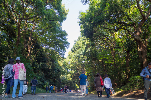 Meiji Shrine , Tokyo, Japan - OCTOBER 27 2017 : located in Shibuya, Tokyo,