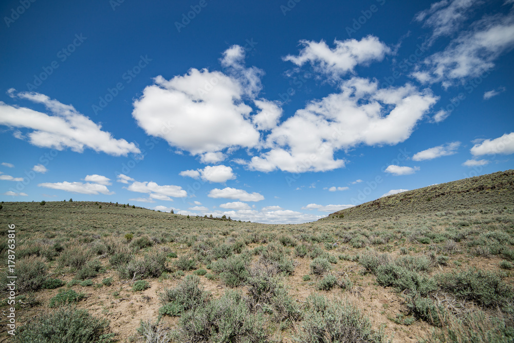 Empty desert under blue skies in spring Empty desert under blue skies in spring