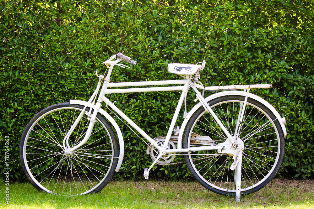 Old retro style white bicycle on green background