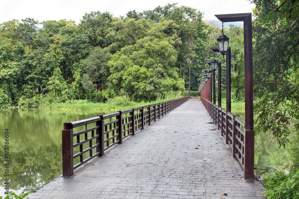 The bridge across the River to the forest with hanging lamps electrical poles. landscape. The bridge across the River to the forest with hanging lamps electrical poles. landscape.