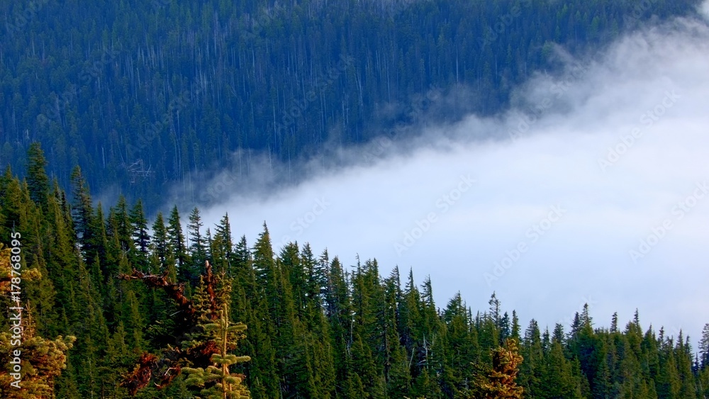 Sunset forest fog clouds Inversion Mt. Hood Oregon Cascades 1