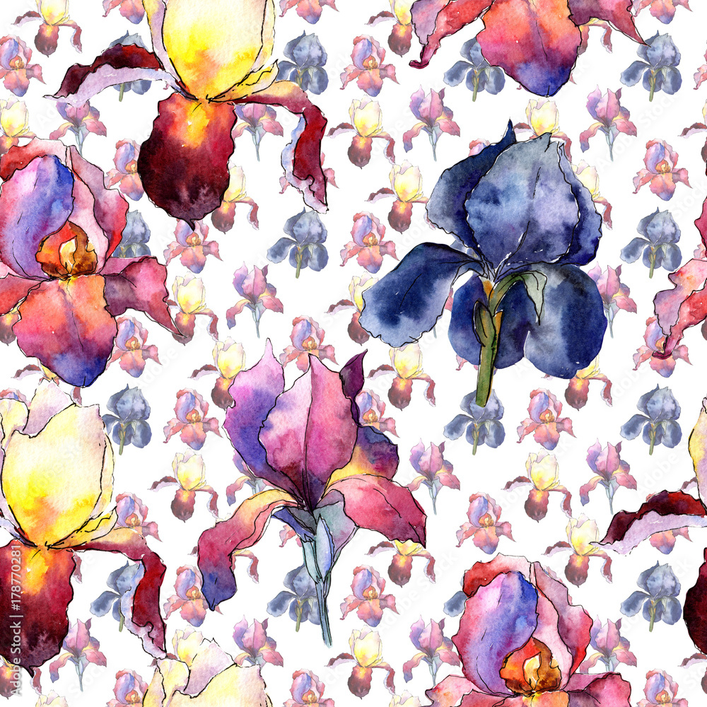 Wildflower colorful iris flower pattern in a watercolor style. Full name of the plant:  iris. Aquarelle wild flower for background, texture, wrapper pattern, frame or border.