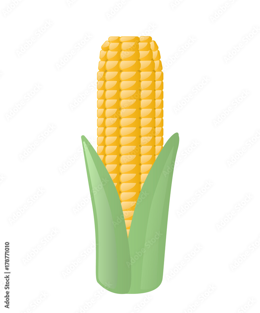 Obraz premium Corn icon in cartoon style.Vector illustration isolated on white background.