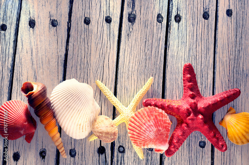 Collection of sea shells and stars photo