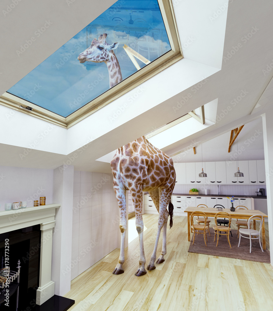 Fototapeta premium Żyrafa w oknie strychu