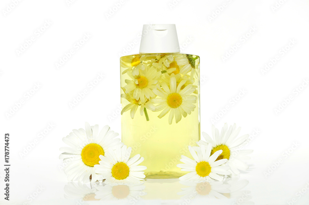 Herbal Shampoo. shampoo for blonde hair with chamomile extract. chamomile shampoo in a transparent bottle and fresh chamomile flowers . Organic vegan natural cosmetics concept Stock Photo | Adobe Stock Herbal Shampoo. shampoo for blonde hair with chamomile extract. chamomile shampoo in a transparent bottle and fresh chamomile flowers . Organic vegan natural cosmetics concept Stock Photo | Adobe Stock