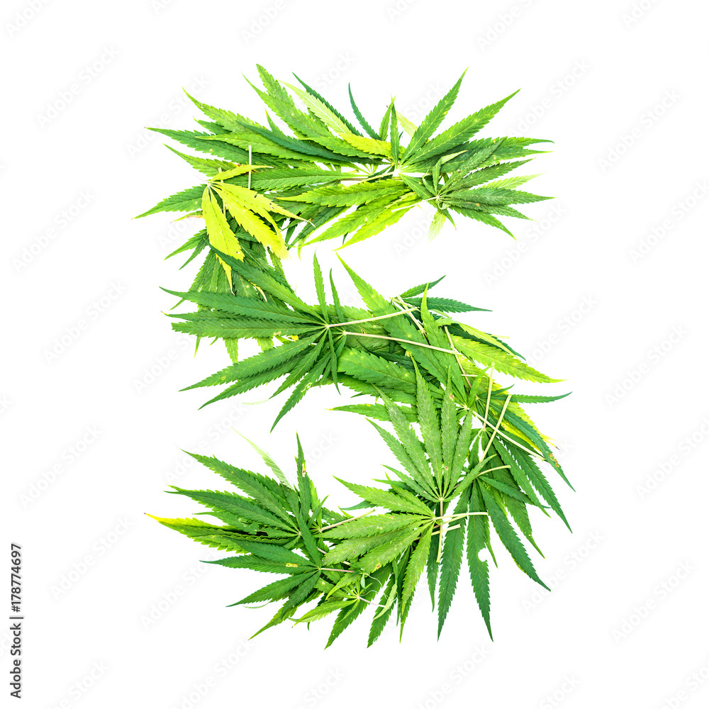 Number five made from green cannabis leaves on a white background. Isolated Number five made from green cannabis leaves on a white background. Isolated