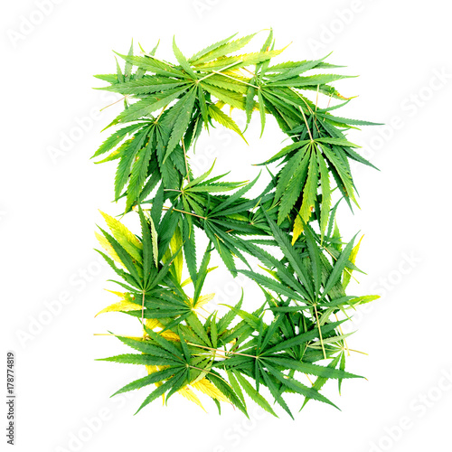Letter B made of green cannabis leaves on a white background. Isolated