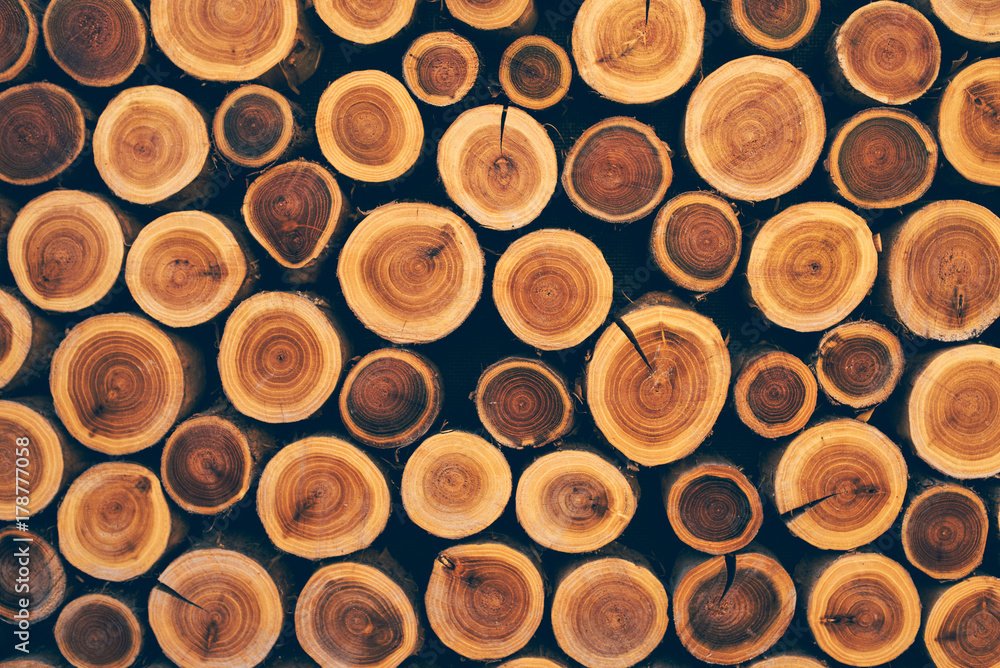 Stacked wood logs as texture