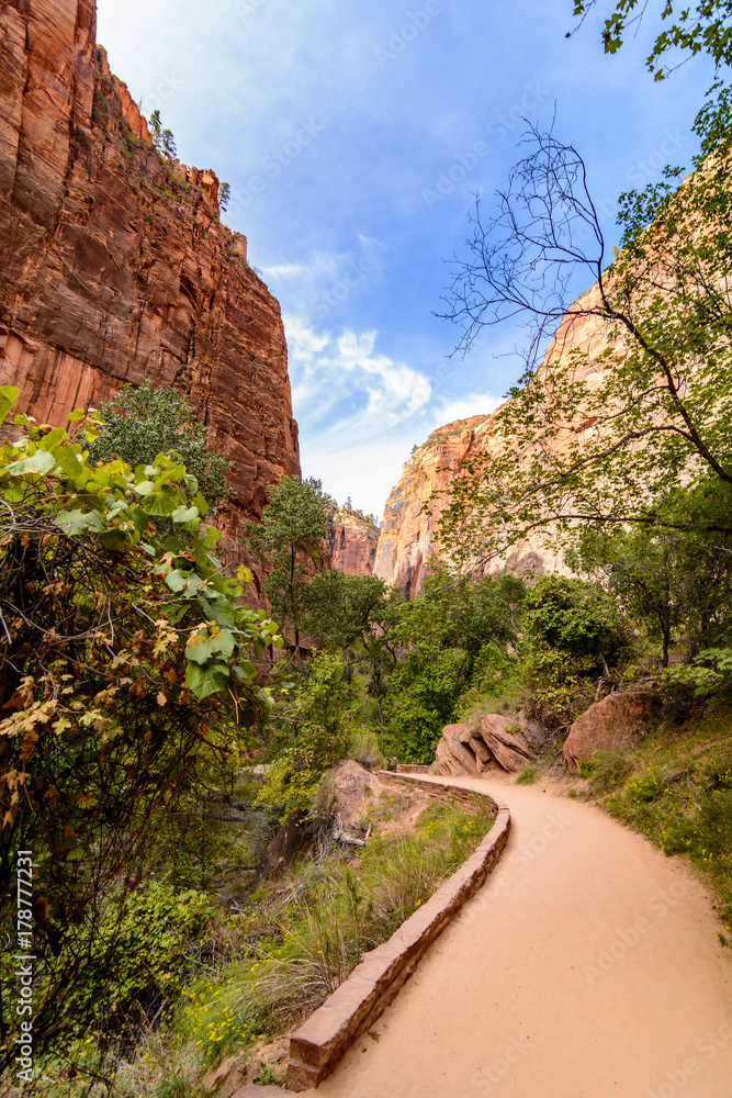Path to the Narrows in Zion