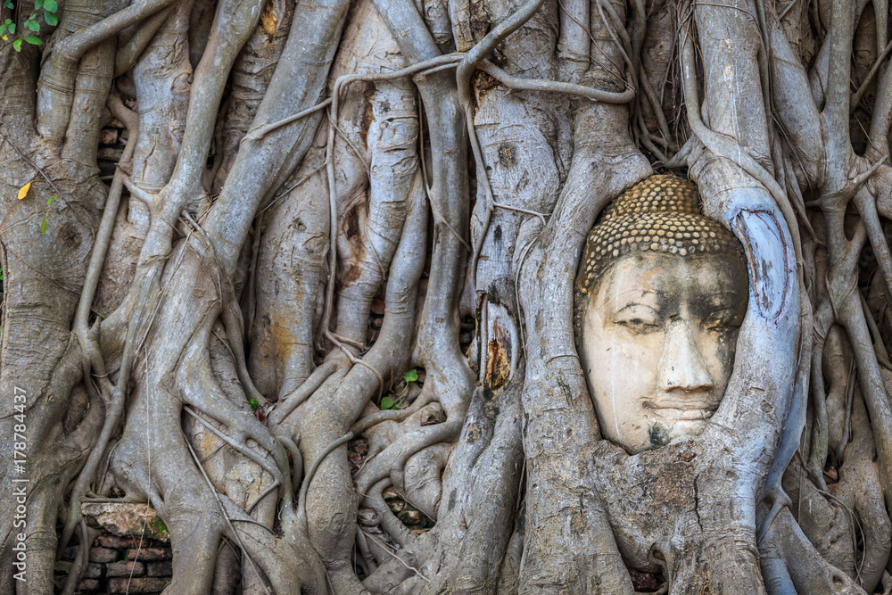 Head of the sandstone buddha in tree root. At Ayutthaya Historical Park in Ayutthaya,Thailand
