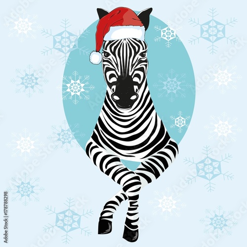 Zebra hat - vector illustration